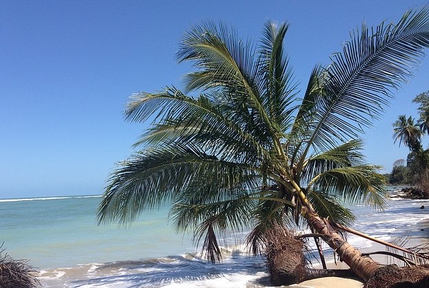 Costa-Rica-Beach-1